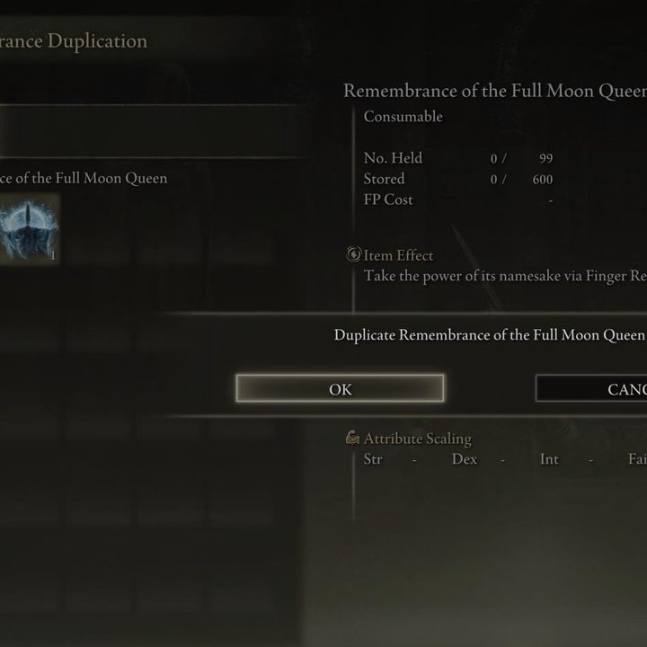 Duplicate Remembrance screen from Elden Ring.