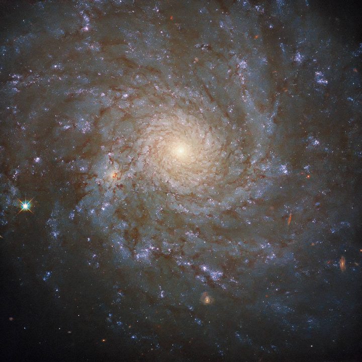 This cosmic portrait – captured with the NASA/ESA Hubble Space Telescope’s Wide Field Camera 3 – shows a stunning view of the spiral galaxy NGC 4571, which lies approximately 60 million light-years from Earth in the constellation Coma Berenices. This constellation – whose name translates as Bernice’s Hair – was named after an Egyptian queen who lived more than 2,200 years ago.