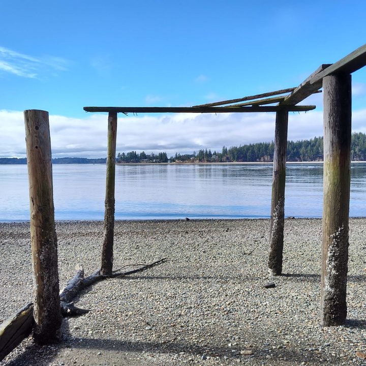The remains of an old dock on a rocky beach under a blue sky.