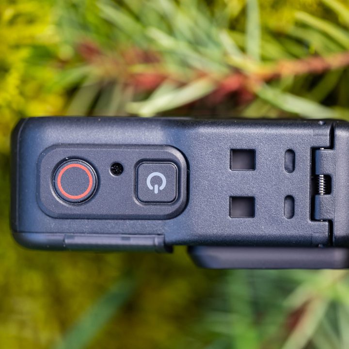 Insta360 One RS top view with pine bough and moss.