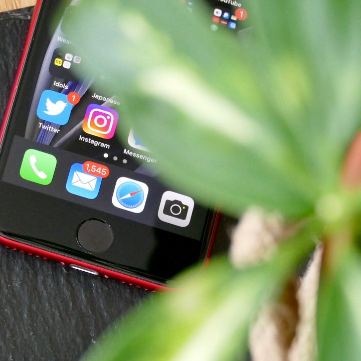 The iPhone SE 2020's Touch ID sensor, with a plant in the foreground.