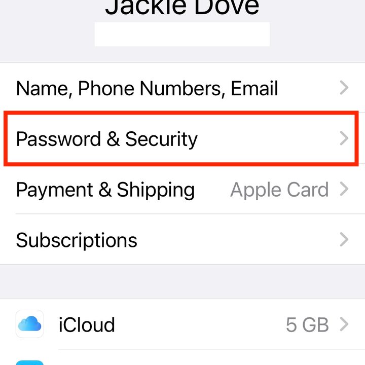 iPhone legacy Password & Security setting.