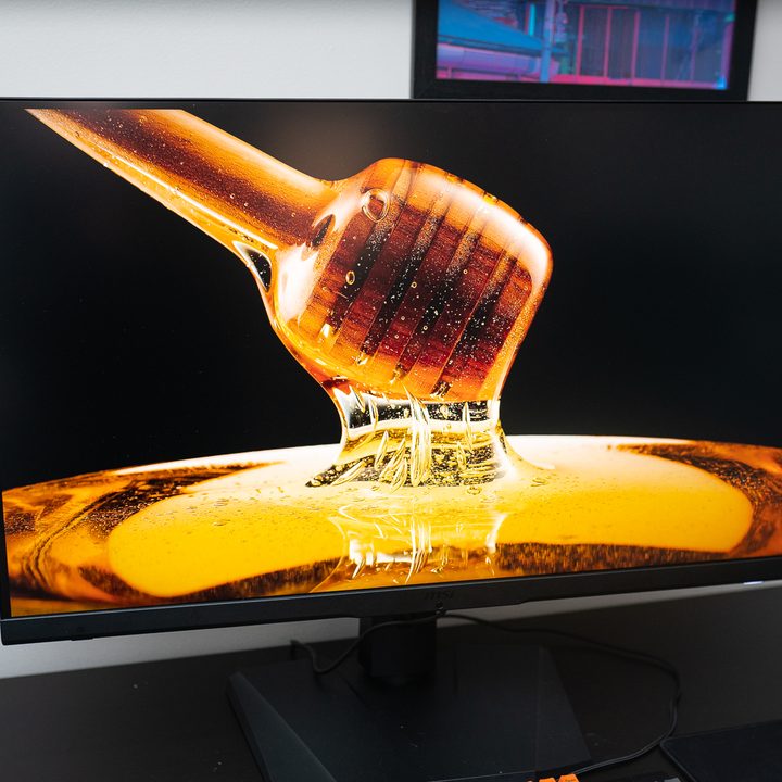 An image of honey on the MSI Optix MPG 32 QD.