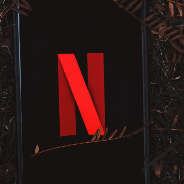 A red N Netflix logo on a smartphone lying on a bed of dead pine needles and brush.