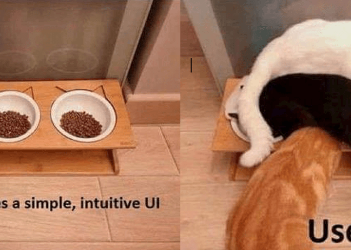 A meme about user experience design featuring food dishes and cats.