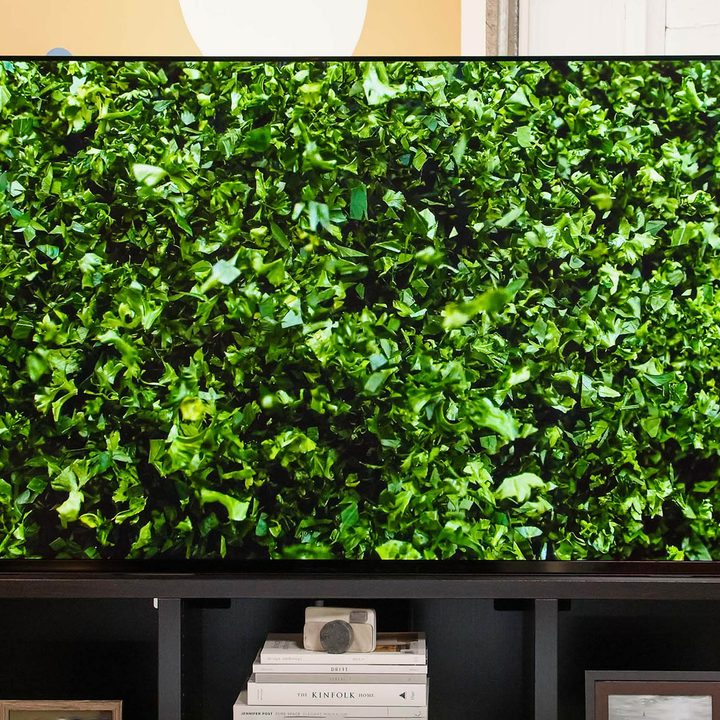 An image of leaves is shown on the Sony A95K.