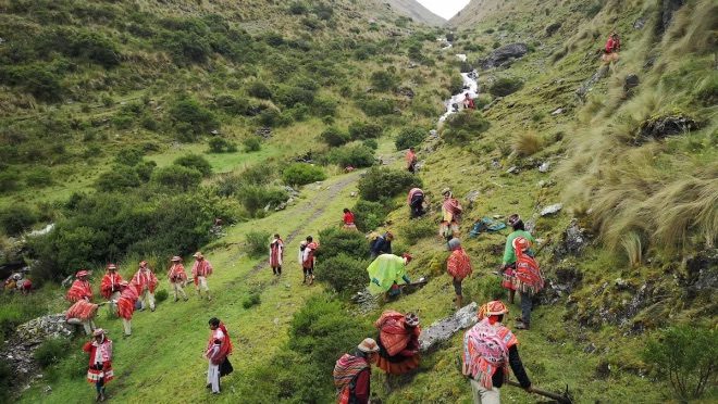 Charity workers walking across a field to replant trees.