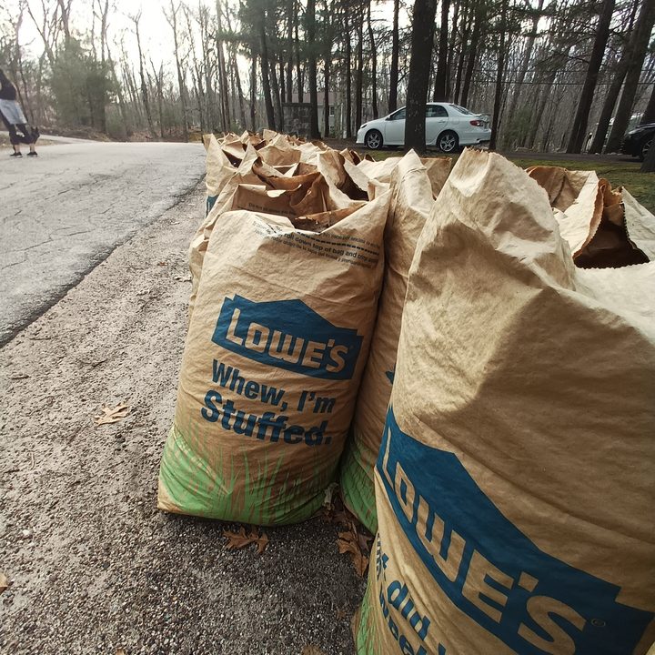 Leaf collection bags sitting by the side of the road