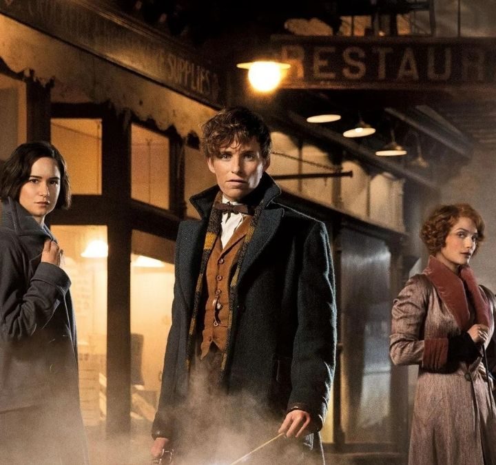 The cast of Fantastic Beasts and Where to Find Them