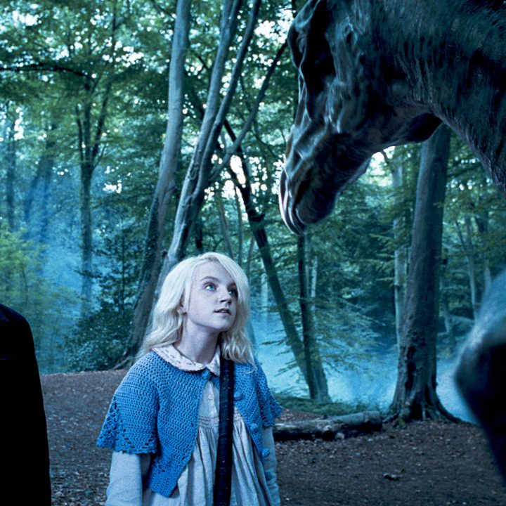 Harry Potter and the Order of the Phoenix (2007) directed by David Yates