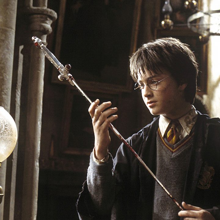 Harry Potter and the Chamber of Secrets (2002), directed by Chris Columbus
