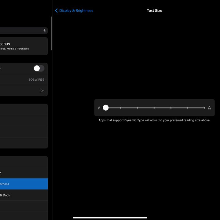Dynamic Type settings in iPad OS