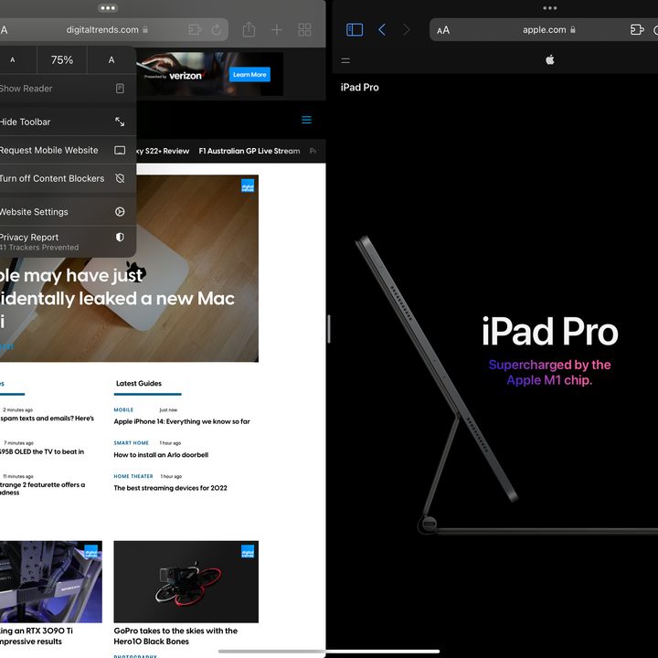 Scaling webpages in iPadOS in Safari