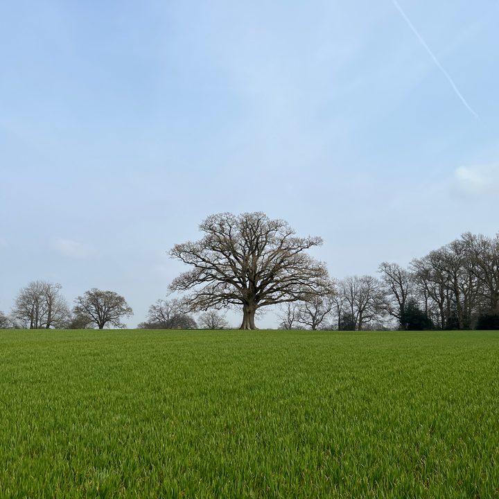 iPhone 13 Pro photo of fields.