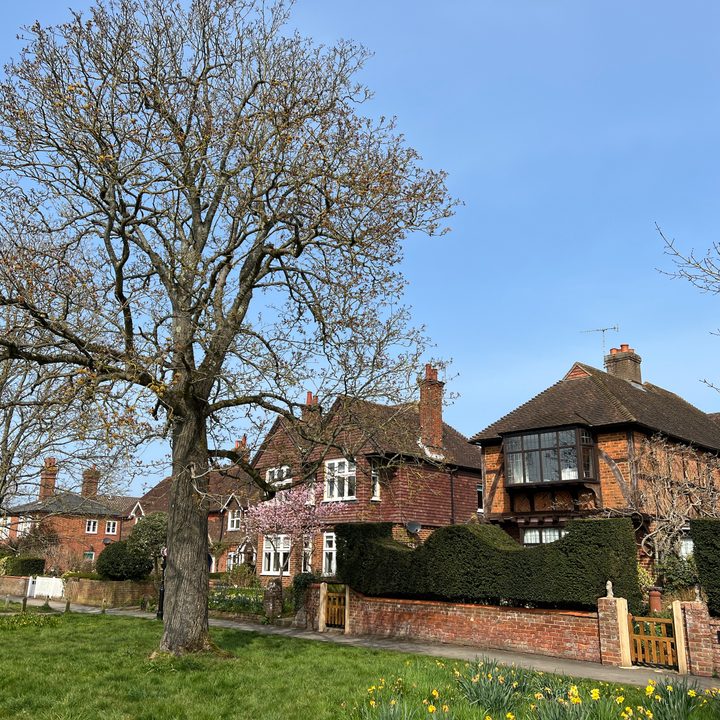 iPhone 13 Pro photo of houses.