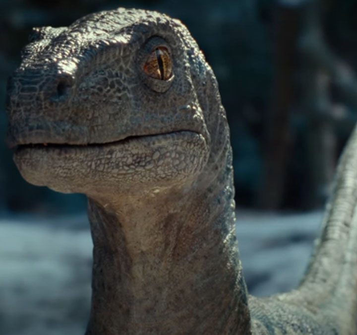 Baby Blue in Jurassic World Dominion.
