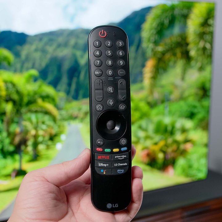 The LG C2 OLED TV's remote being held up by Caleb Denison.