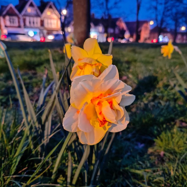 OnePlus 10 Pro Night mode photo.