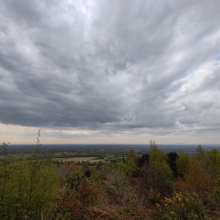 A cloudy day shot with the OnePlus 9 Pro wide-angle photo.