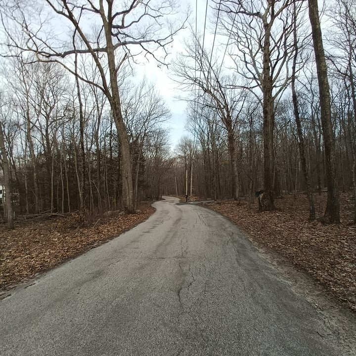 A perspective shot of a country road in the woods