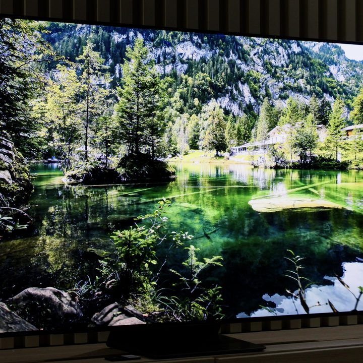 Samsung S95B OLED TV with nature image on-screen.