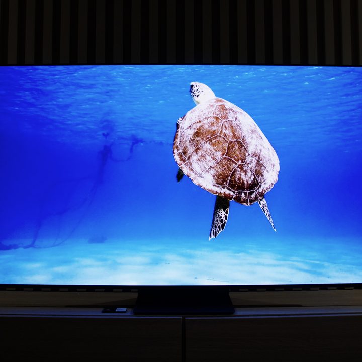 Samsung S95B OLED TV with image of sea tuturle in ocean on-screen.