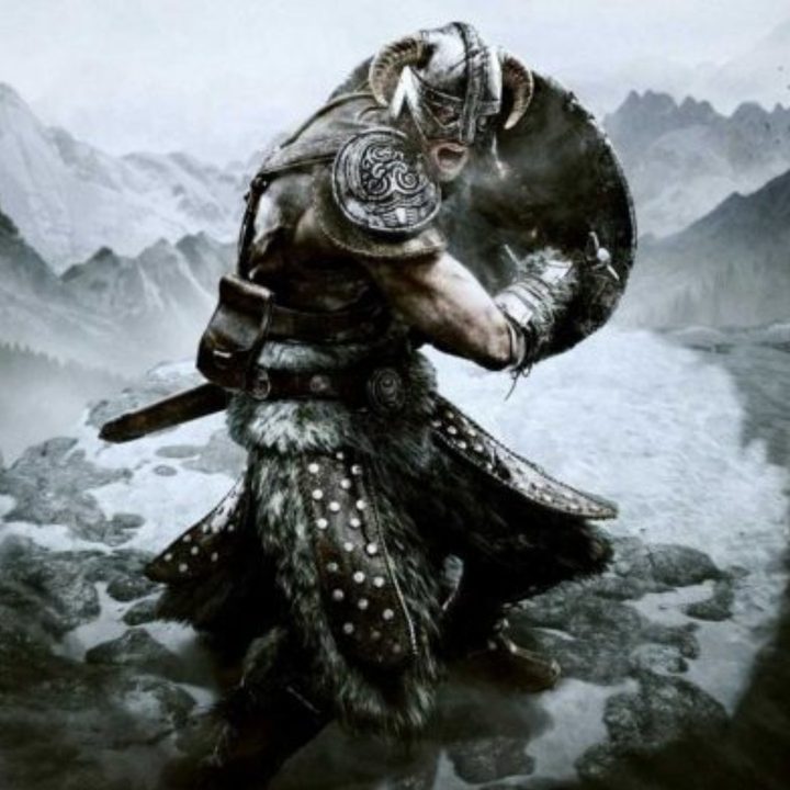 The Dragonborn poised for battle with the shadow of a dragon looming.