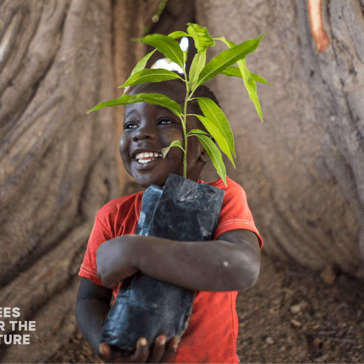a young boy holding a sapling