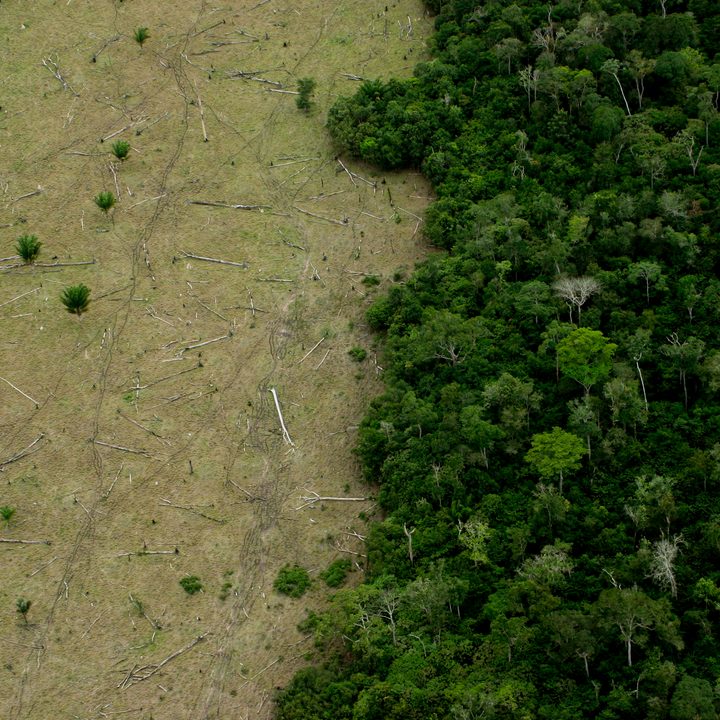 A deforested area in the Amazon rainforest