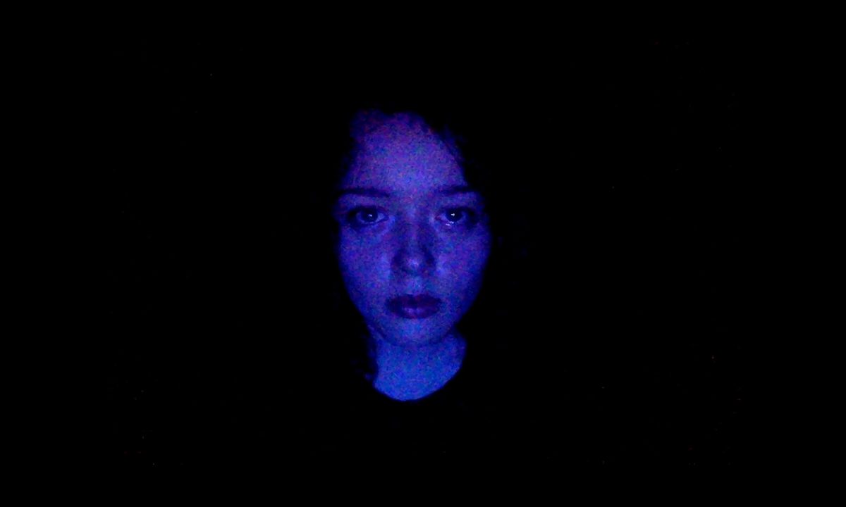 Anna Cobb stares into the digital abyss in We're All Going to the World's Fair.