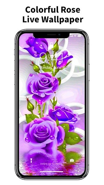 4D Live Wallpaper with roses.