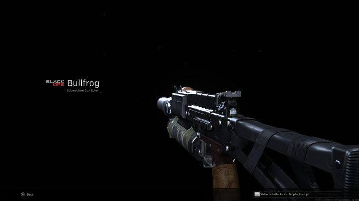 Bullfrog SMG in Warzone.