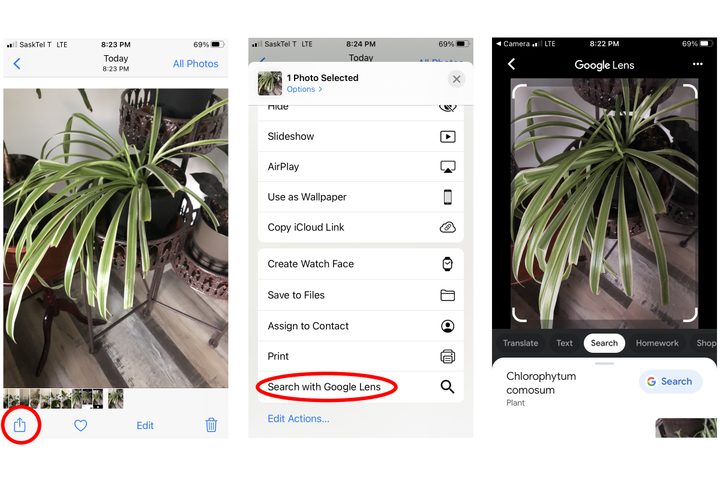 Step by step visual instructions to show how to use Google Lens.