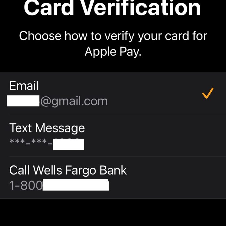 Apple Pay on Apple Watch verification info.