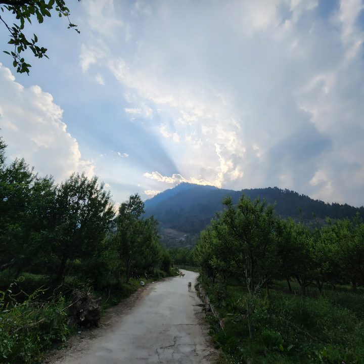 Daylight ultrawide sample by OnePlus 10 Pro