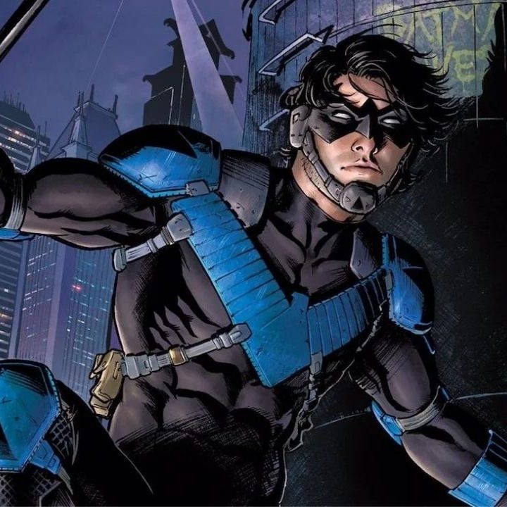 Nightwing crouching on a rooftop in the comics.