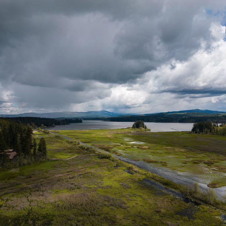 A marsh and lake under a stormy sky.
