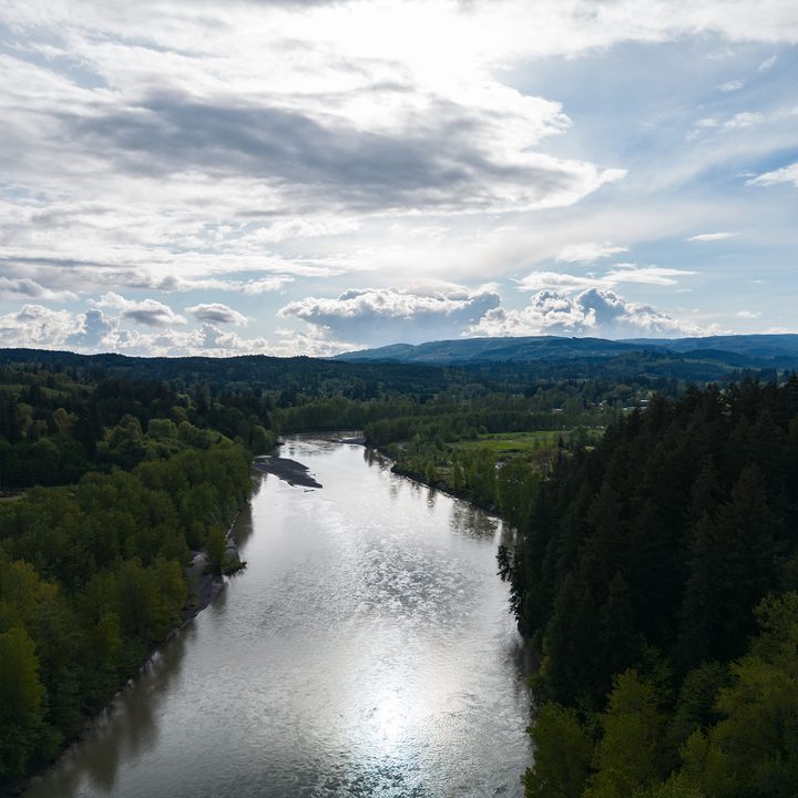 A river through a forested landscape.