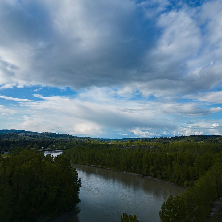 A river through the forest.