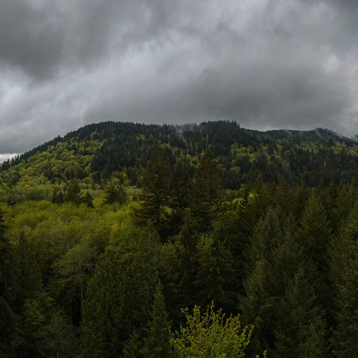 Panorama of forested hills under dark storm clouds.