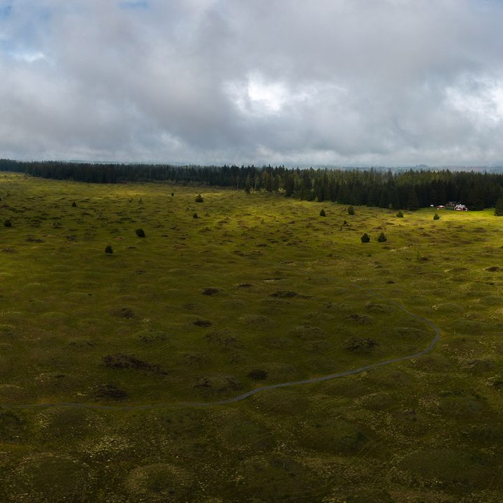 Panorama of dappled light on a prairie.