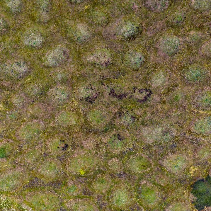Top down view of a prairie.