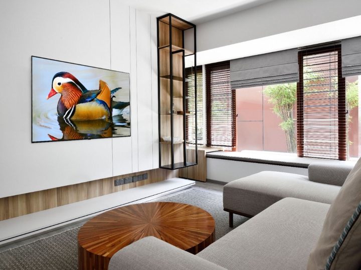 LG 55-inch OLED TV on wall.
