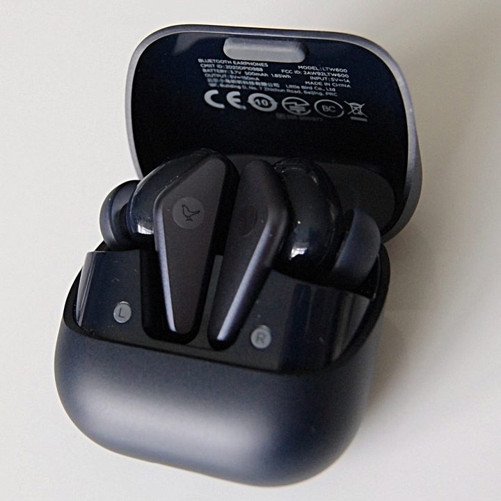 Charging case open to show earbuds.