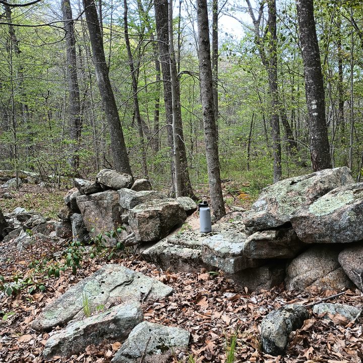 A water bottle on a rock wall in the woods