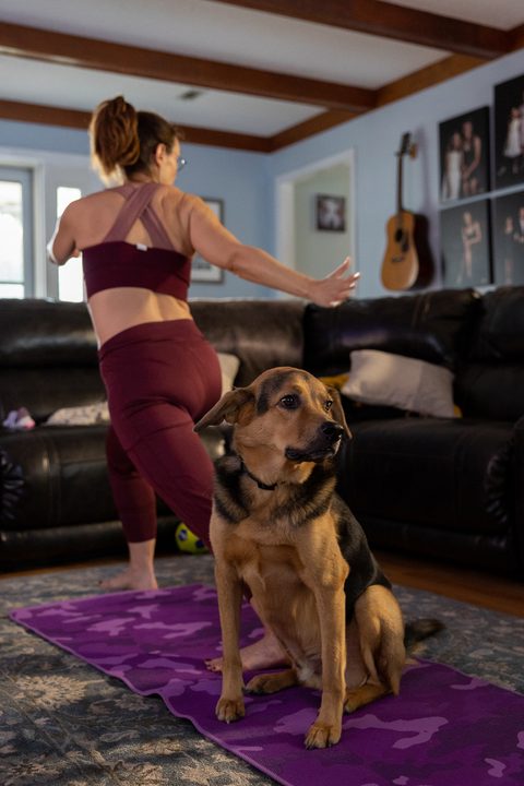 A dog watching a woman do yoga on Apple Fitness+.