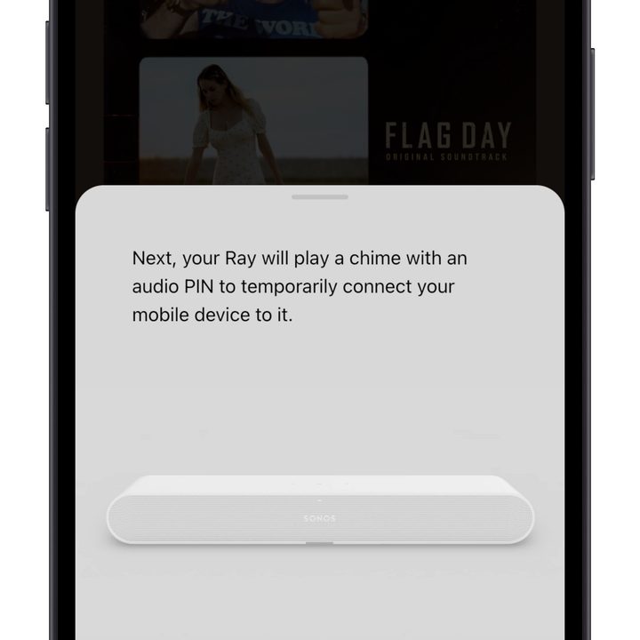 Sonos Ray set up screen in the Sonos app.