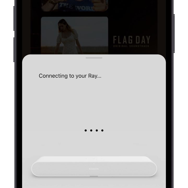 Sonos Ray set up screen in the Sonos app.