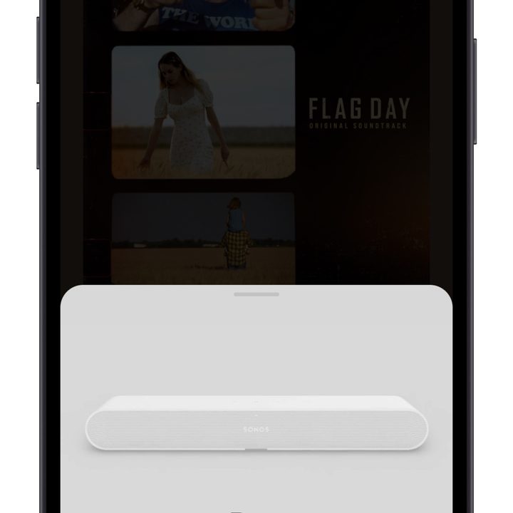 Sonos Ray set up screen in the Sonos app.