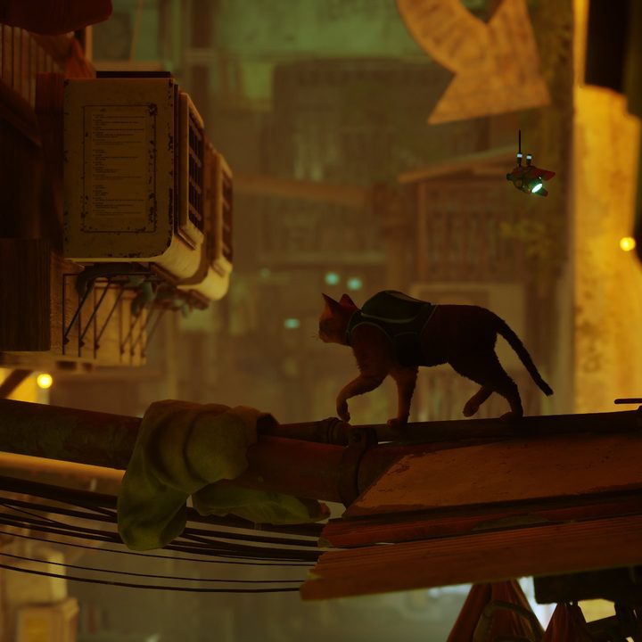 A cat walks through a city in Stray.